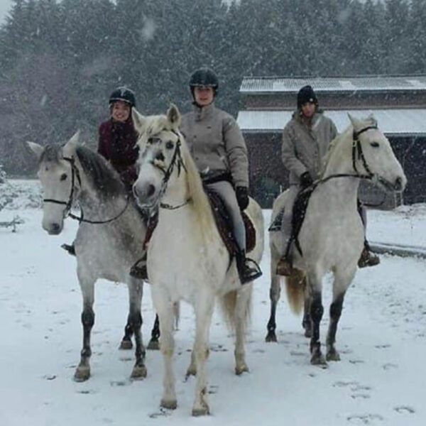 Balade à cheval dans la neige en hiver