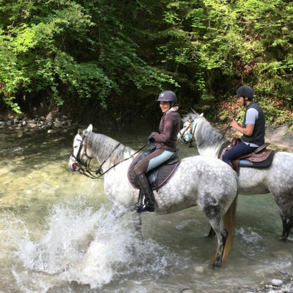 Balade à cheval forêt rivière lac montagnes